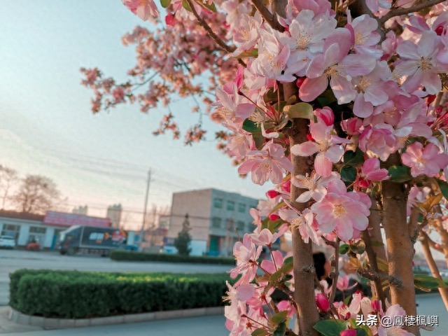 明星“黑料”背后藏勒索链，三案抓获24人