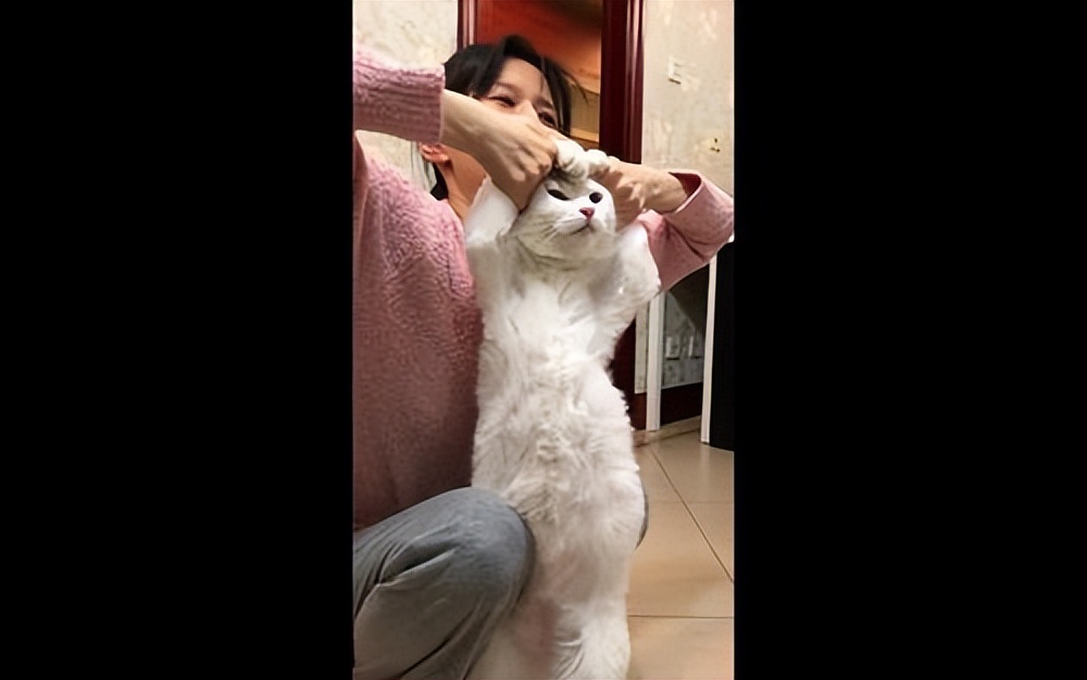 网红直播带货收入排行_娱乐八卦中的网红有哪些-_顶级网红收入高不高