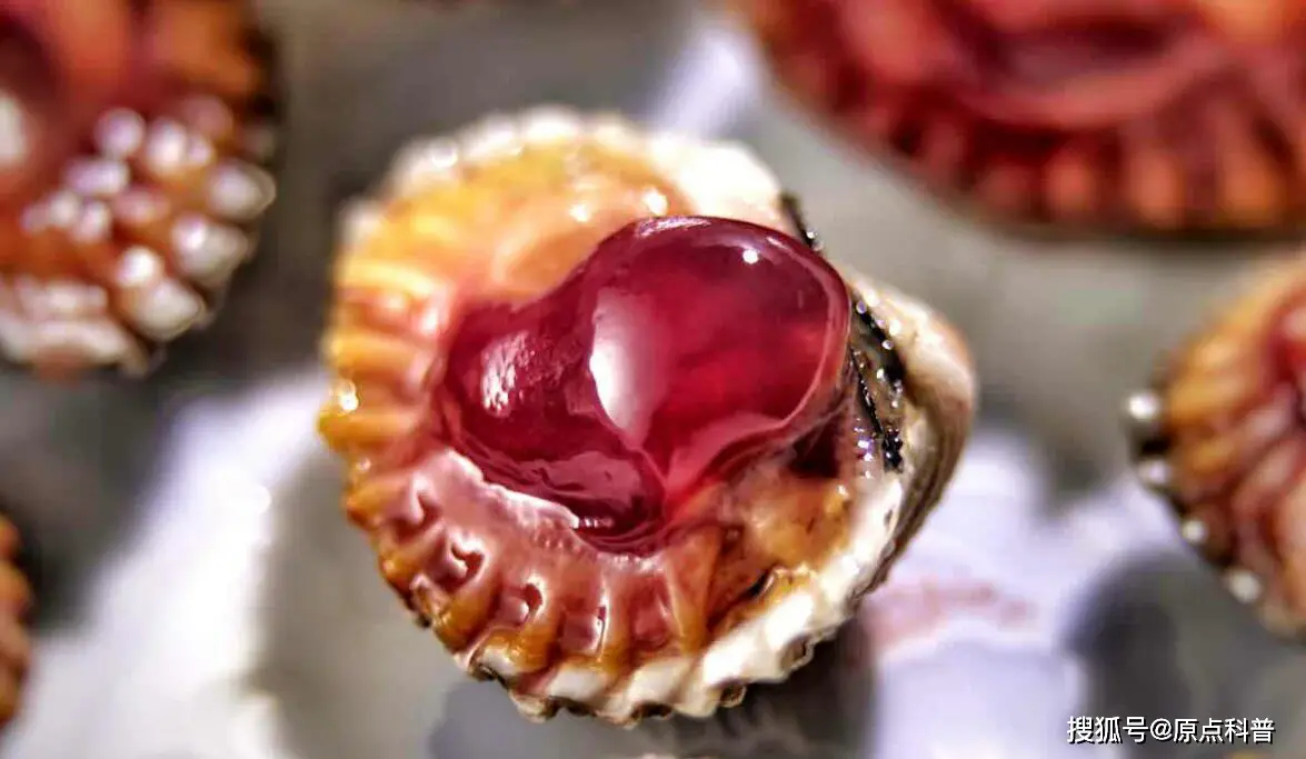 江苏特色黑暗料理盘点_黑暗料理排行榜前十名网红,_江苏黑暗料理排名