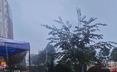 一、明星造谣诬陷