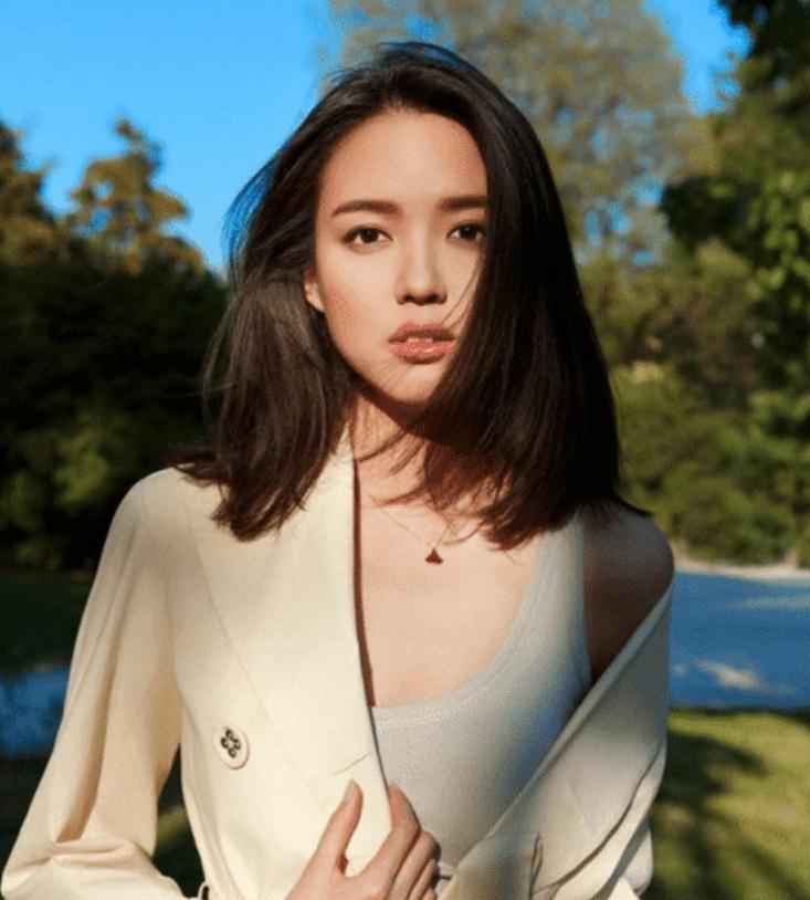 娱乐圈最不容易被黑的明星_何炅彭于晏胡歌张梓琳_明星怎么才不会被爆黑料,