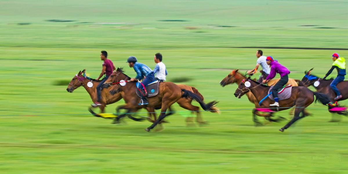 内蒙籍女明星_内蒙古大草原旅游景点_内蒙古男明星推荐
